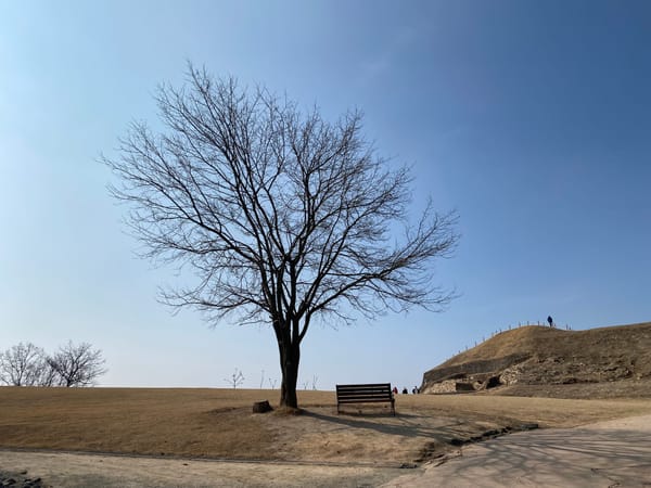 The Serene Winter Charm of Yeoncheon Horogoru