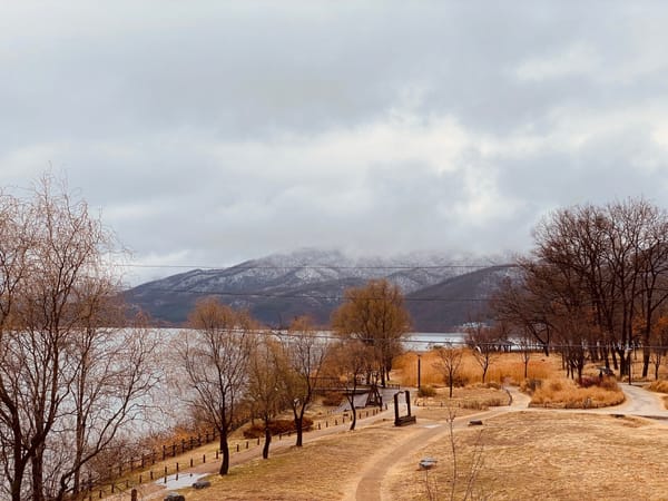 Walking Through Time and Nature: Neungnae Station and Dasan Saengtae Gongwon